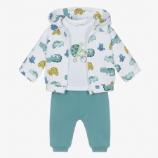 Green Tortoise Friends Tracksuit Set
