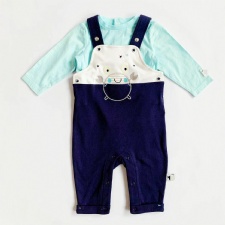 Baby Boy Long-sleeve Overalls Set