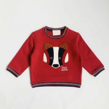 Baby Long-sleeve Crew Neck Shirt